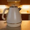 Retro-Themed Thermometer Display Electric Kettle